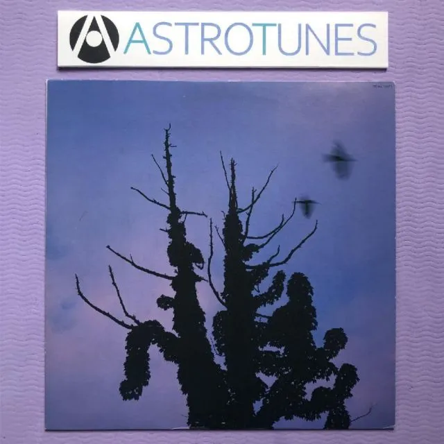 2025年最新】あぶらだこ レコードの人気アイテム - メルカリ