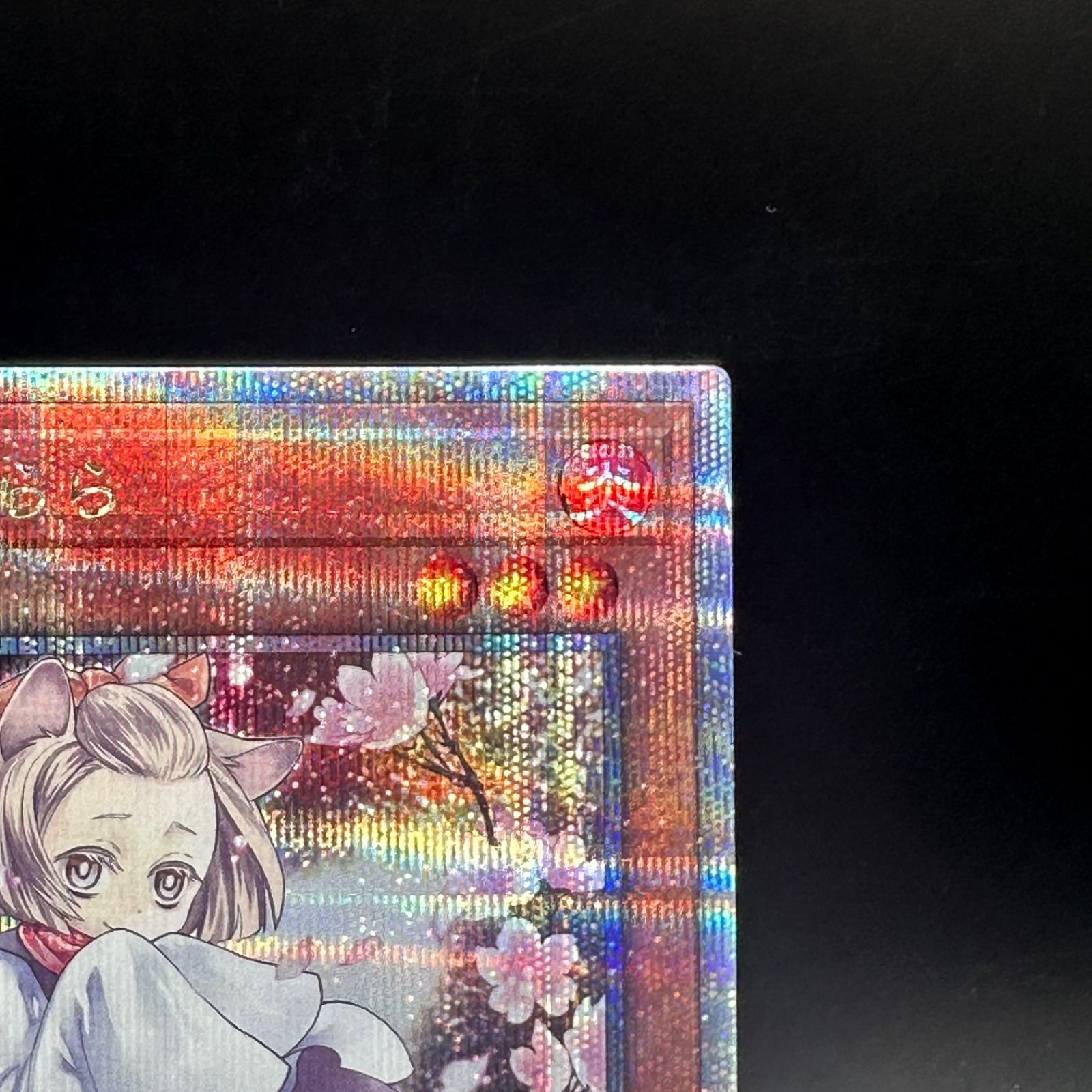 遊戯王 灰流うらら 新規イラスト クォーターセンチュリーシークレット