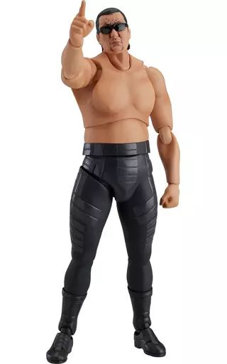 figma 蝶野正洋 画像のもののみです 中古】フィギュア figma 蝶野正洋 - メルカリ