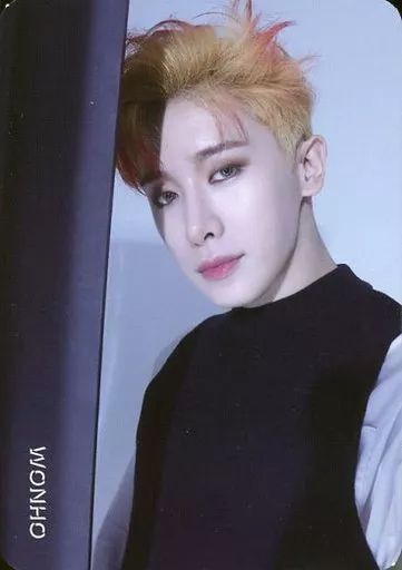 中古】コレクションカード(男性) MONSTA X/ウォノ(WONHO)/左にドア・裏