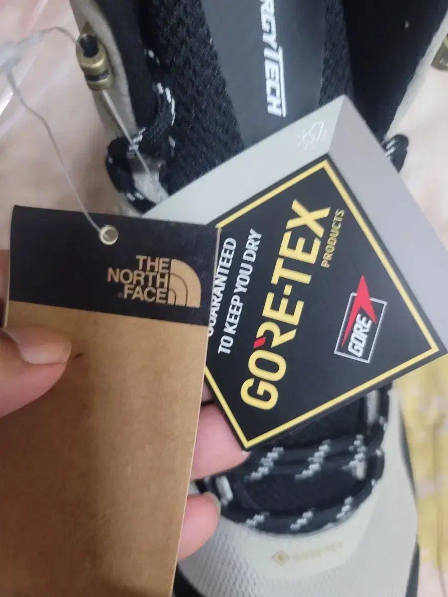 NORTH FACE