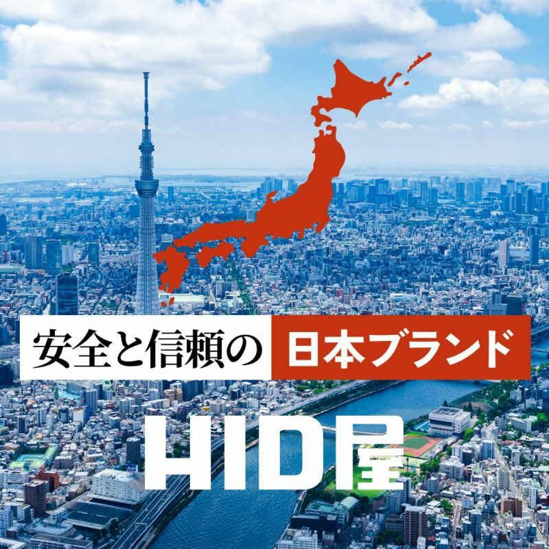 フォグ バルブ
