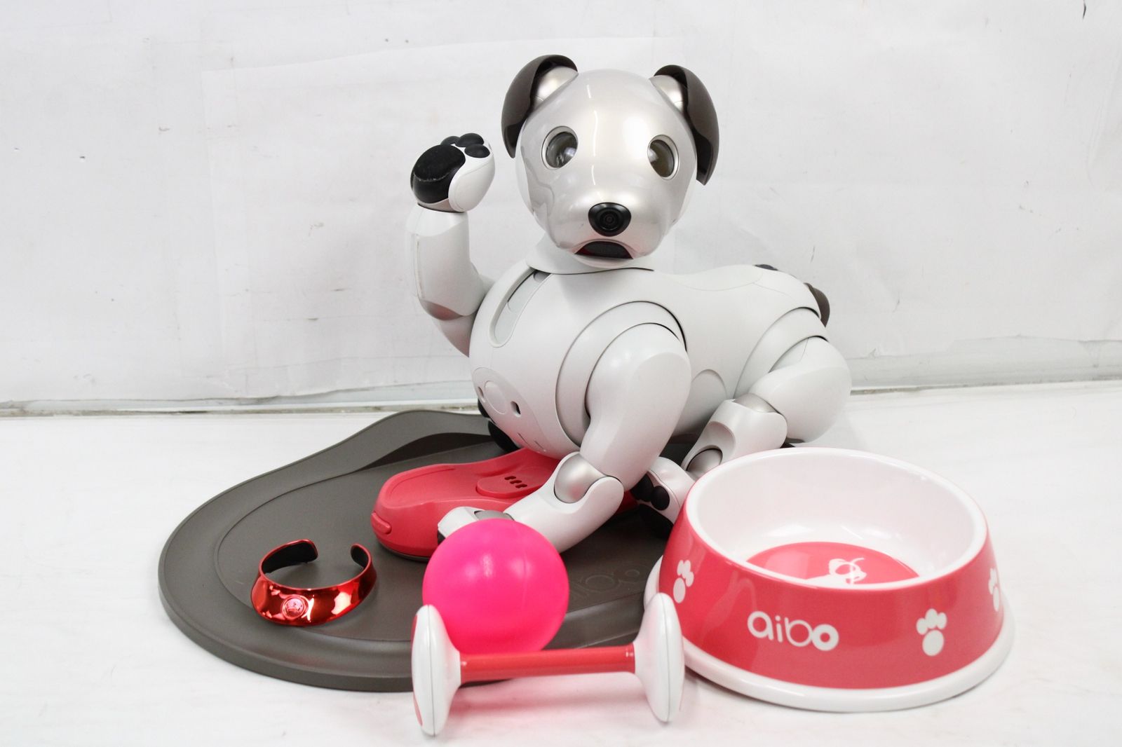 ソニー アイボ ERS-1000 アイボーン 限定首輪 AIBO 犬型 ロボット