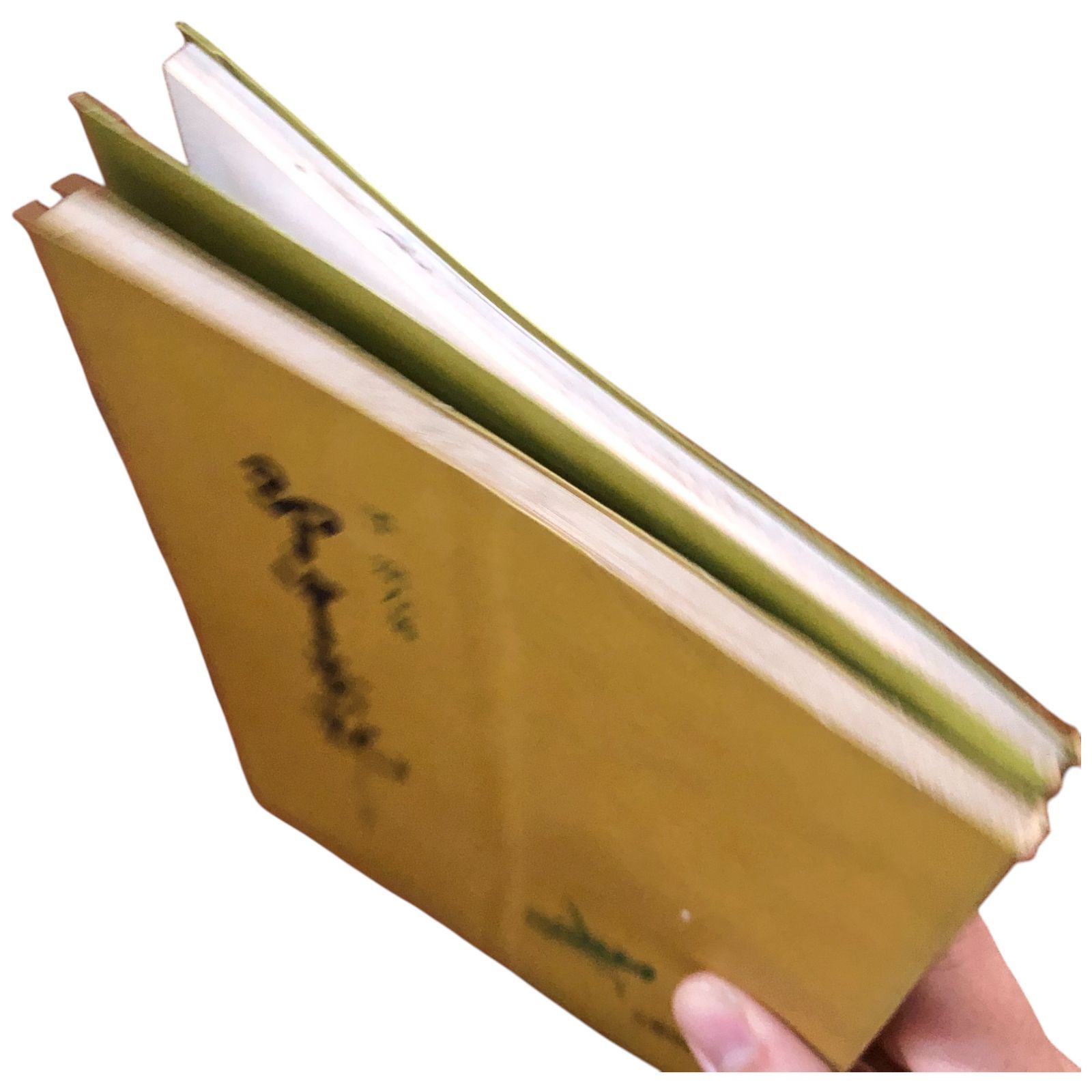 即中斎記 第1.2分冊 千宗左 河原書店 昭和24年発行昭和53年重版