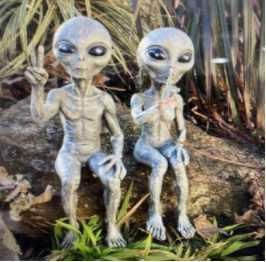 宇宙人 フィギュア 男 女 2個セット UFO グレイ 人形 置物 エイリアン 