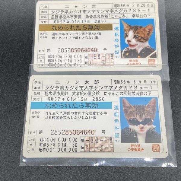 Z197 なめねこ なめ猫 なめんなよ 免許証 ニャン太郎 トラ次郎