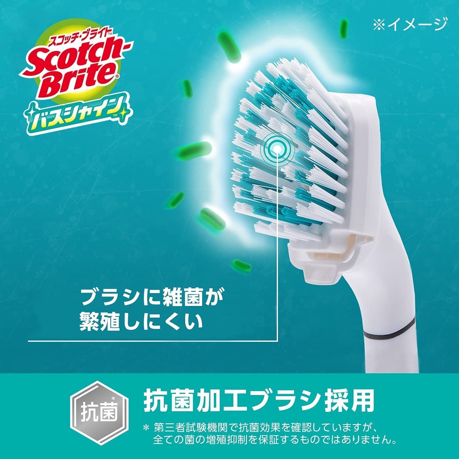 バスシャイン