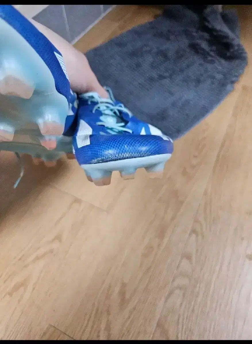 ELANスノーボード+バインディング SPIKE Blue23-24 モデル