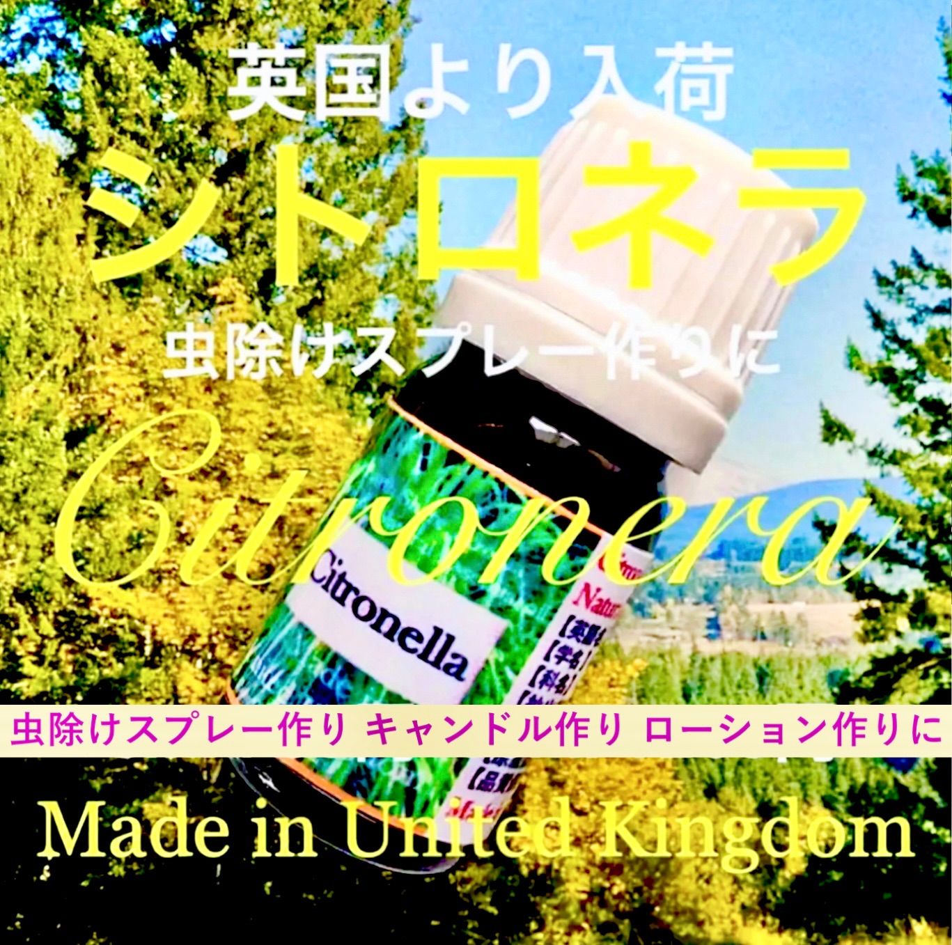 こねパン様ご