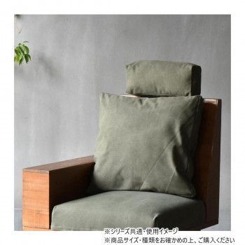 IFSE0319COGRN
