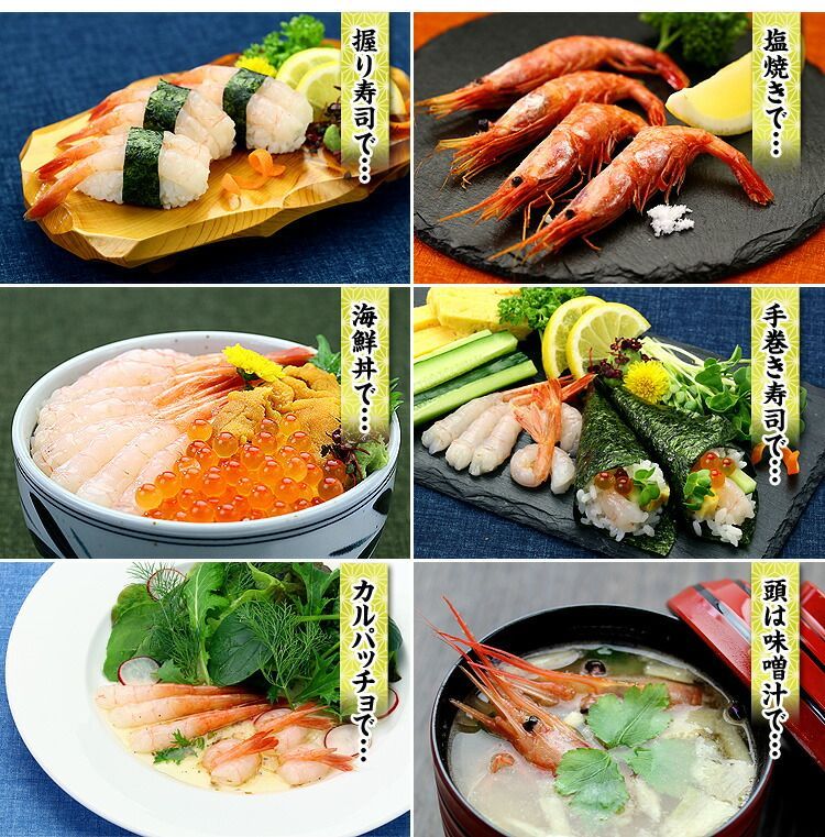 🦐 子持ち越前甘えび500g/約40尾入り【エビ】【えび】【海老】【あまえび】【アマエビ】【甘エビ】【甲羅組】