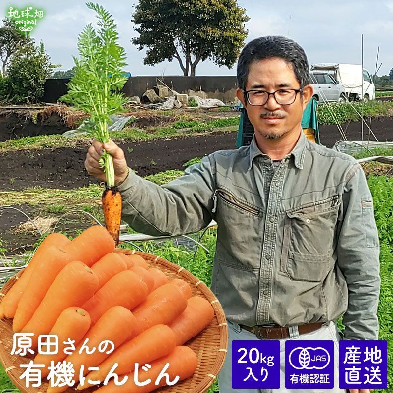 1月発送 原田さんの有機人参 MLサイズ 20kg 1本100～500g 宮崎県産 洗い 有機栽培 有機JAS認証 にんじん ニンジン 国産 産地直送 常温便