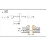 ブラインドリベットエコBOX LOBSTER
