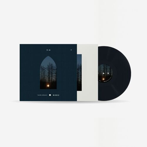 haruka nakamura grace アナログ LP レコード Haruka Nakamura – Grace – Vinyl (LP, Album + 3 more), 2023