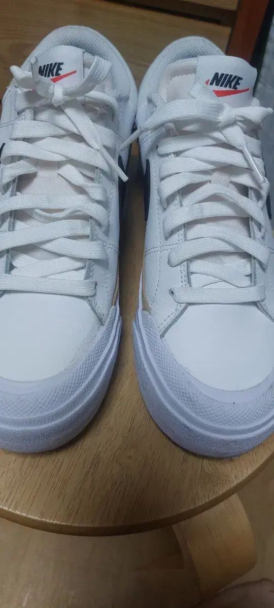 NIKE ナイキ 250