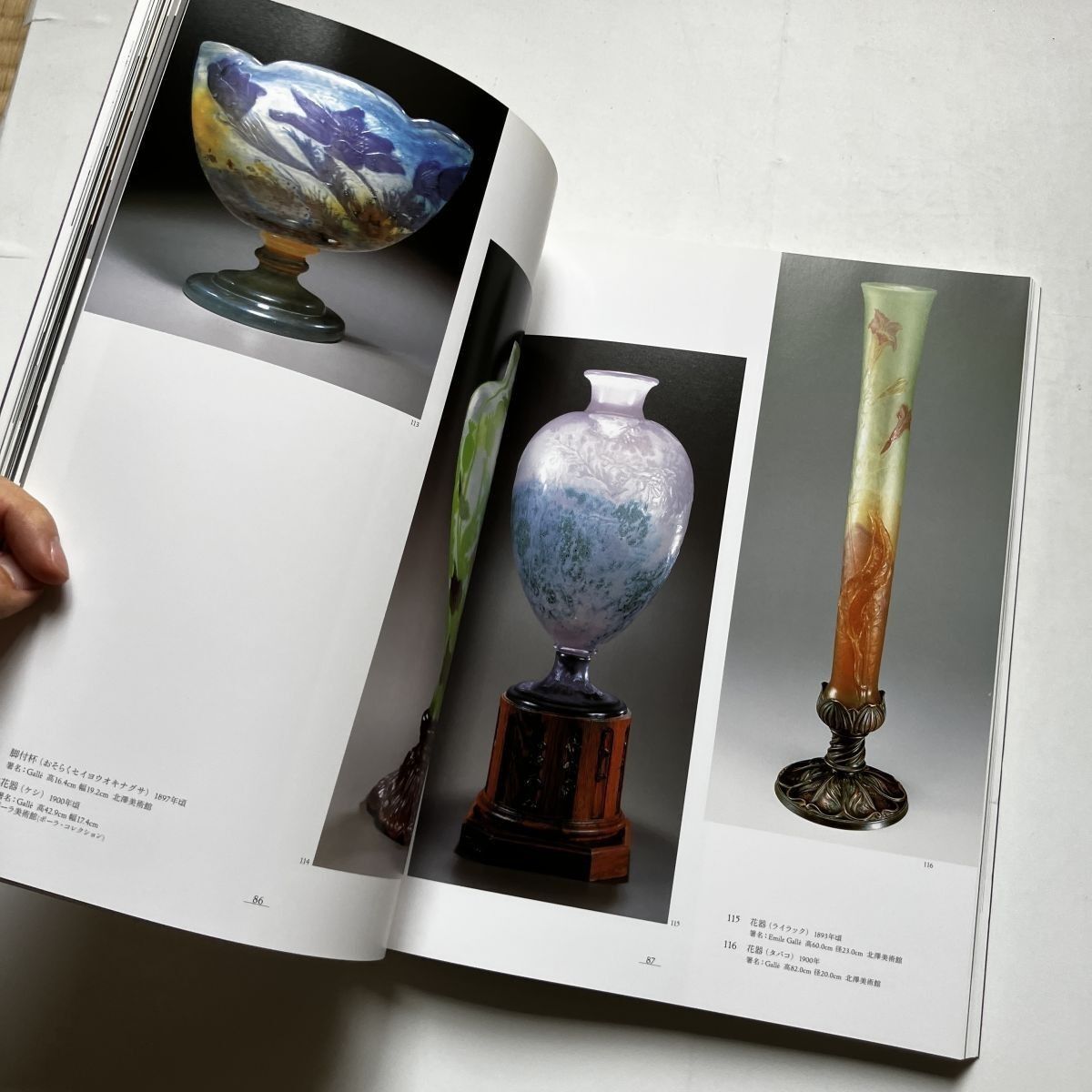 LOUVRE 美術作品集 2005年出版 エミール・ガレ 創造の軌跡 没後100年記念 フランスの至宝 監修