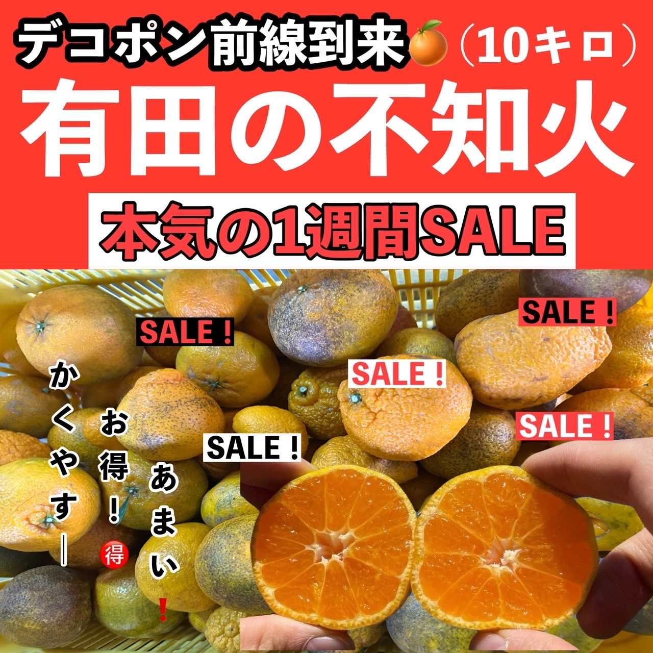 減農薬有田の不知火　10kg