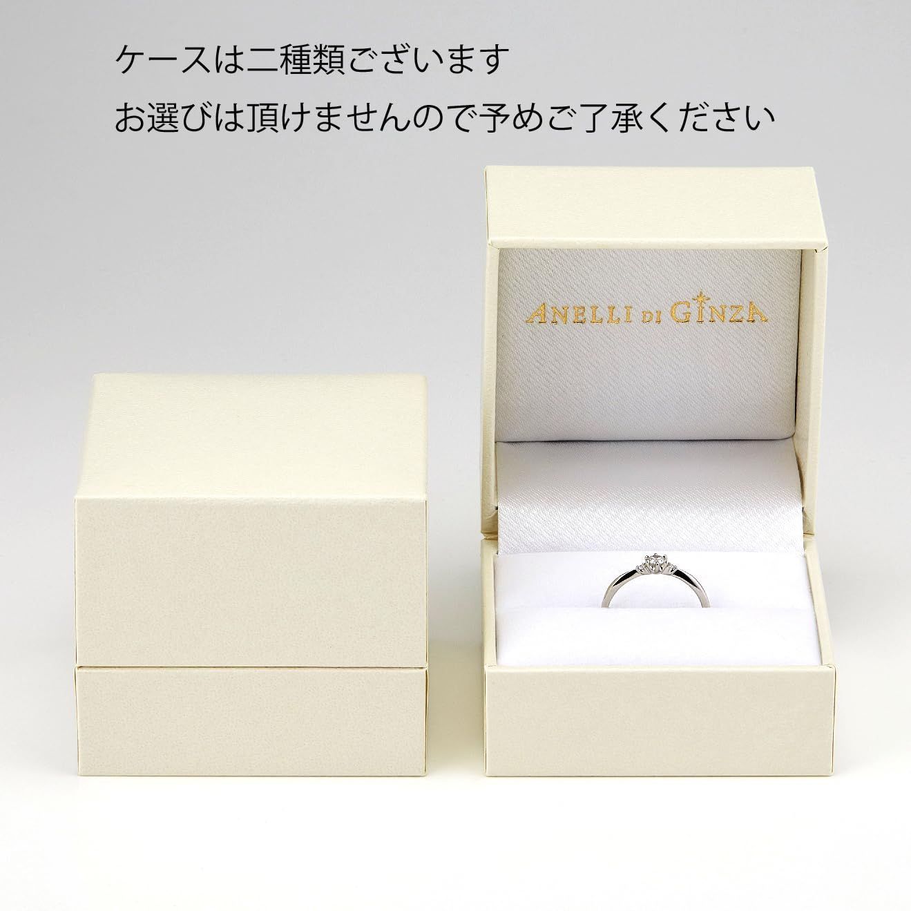 アネリディギンザ ANELLIDIGINZA