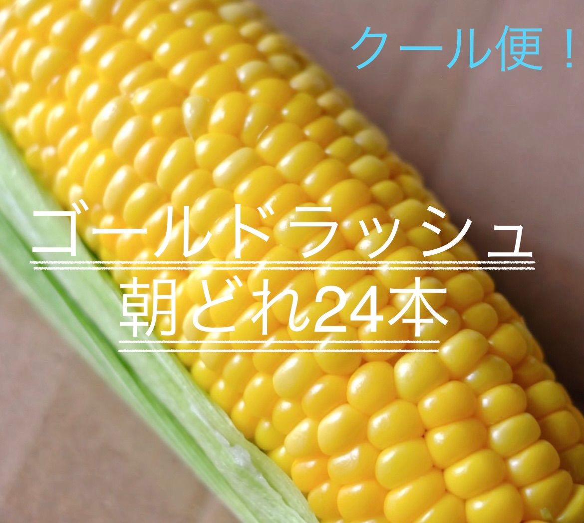 クール便【朝どれ】熊谷産とうもろこし24本ゴールドラッシュ