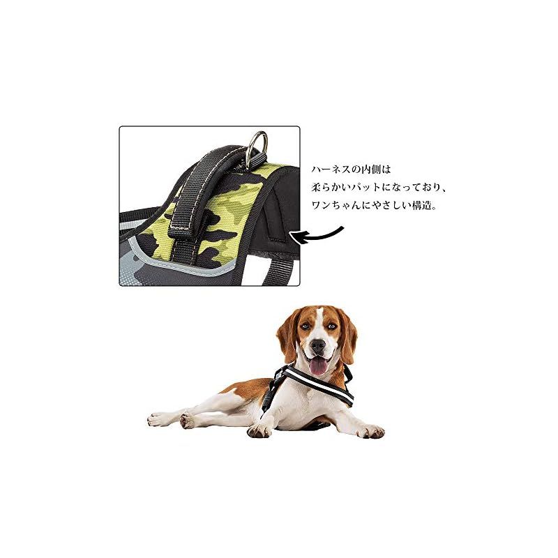 ハーネス CAMMIE