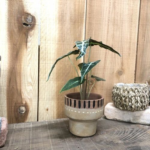 FARM 鉢 11(イラ)・12(ダガ)・15(グン)【個性的な模様の可愛いポット