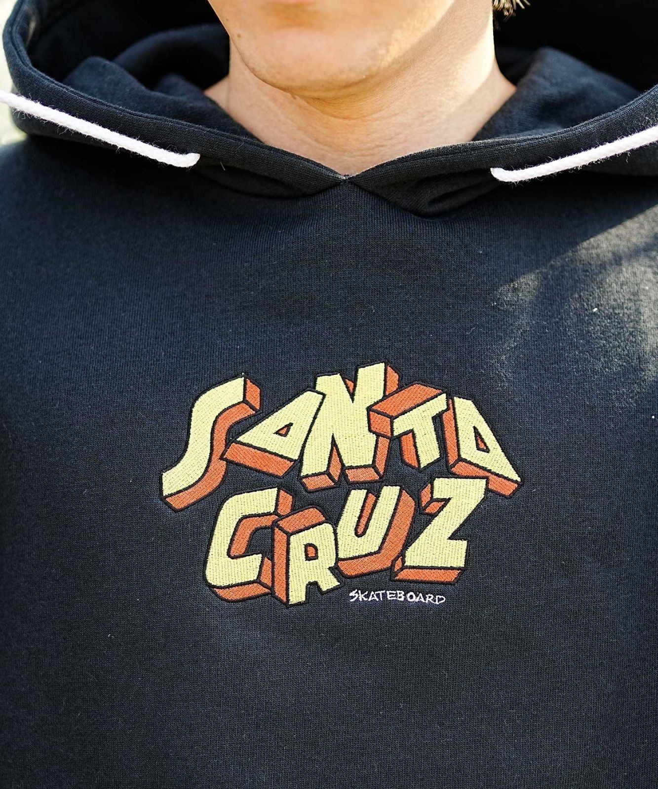 SANTACRUZ/サンタクルーズ メンズ プルオーバー パーカー バック ...