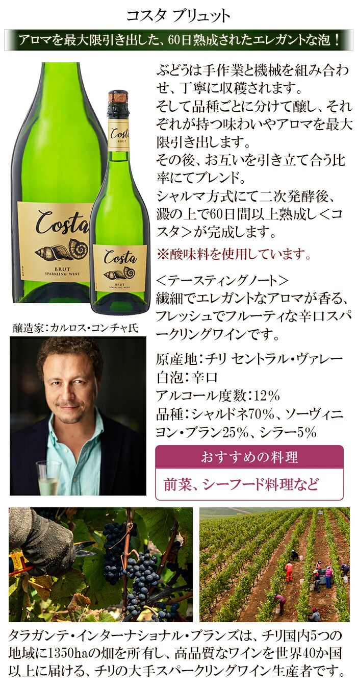 飲料・酒 ワイン ギフト ワインセット 新旧世界ワイン 4本セット 飲み