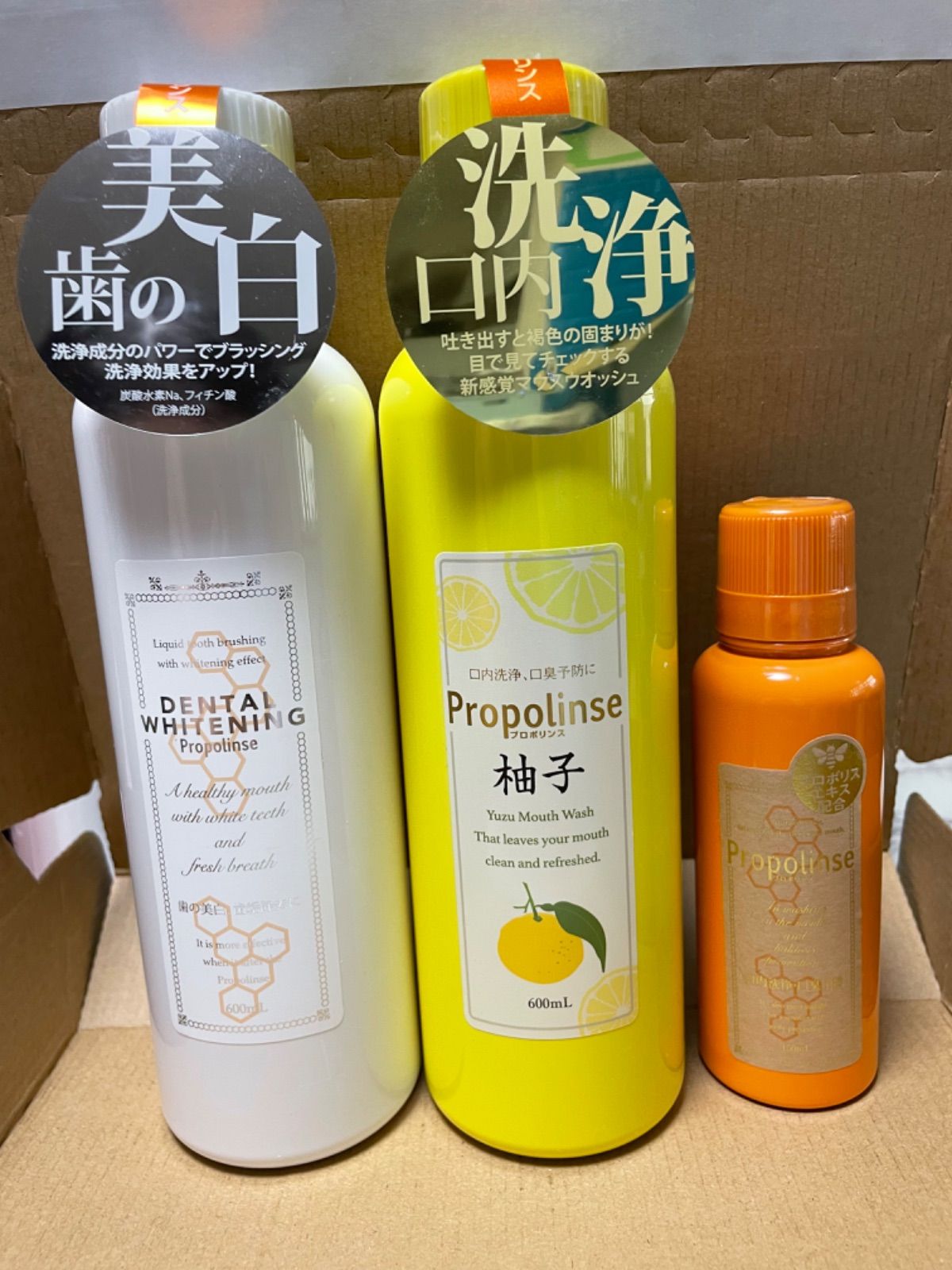 プロポリンス レギュラータイプ 600ml 2本セット - その他