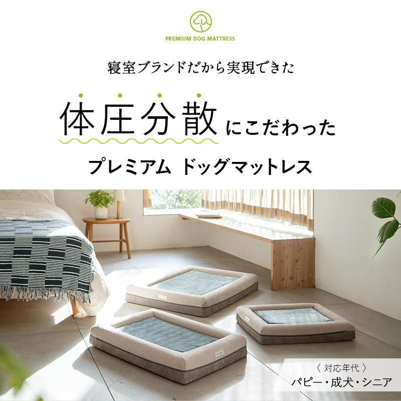 介護 エムール