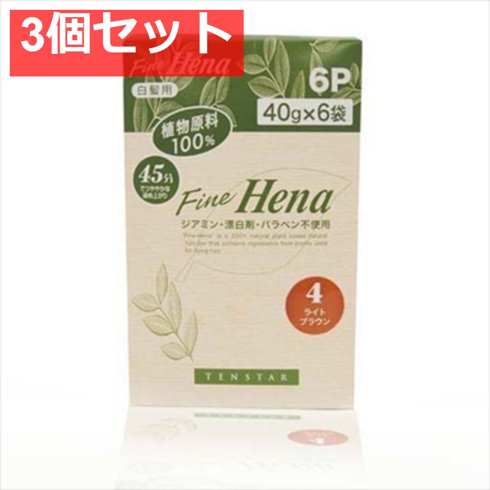 TFH-11N テンスターフアインヘナ6PLBR 3個セット まとめ売り