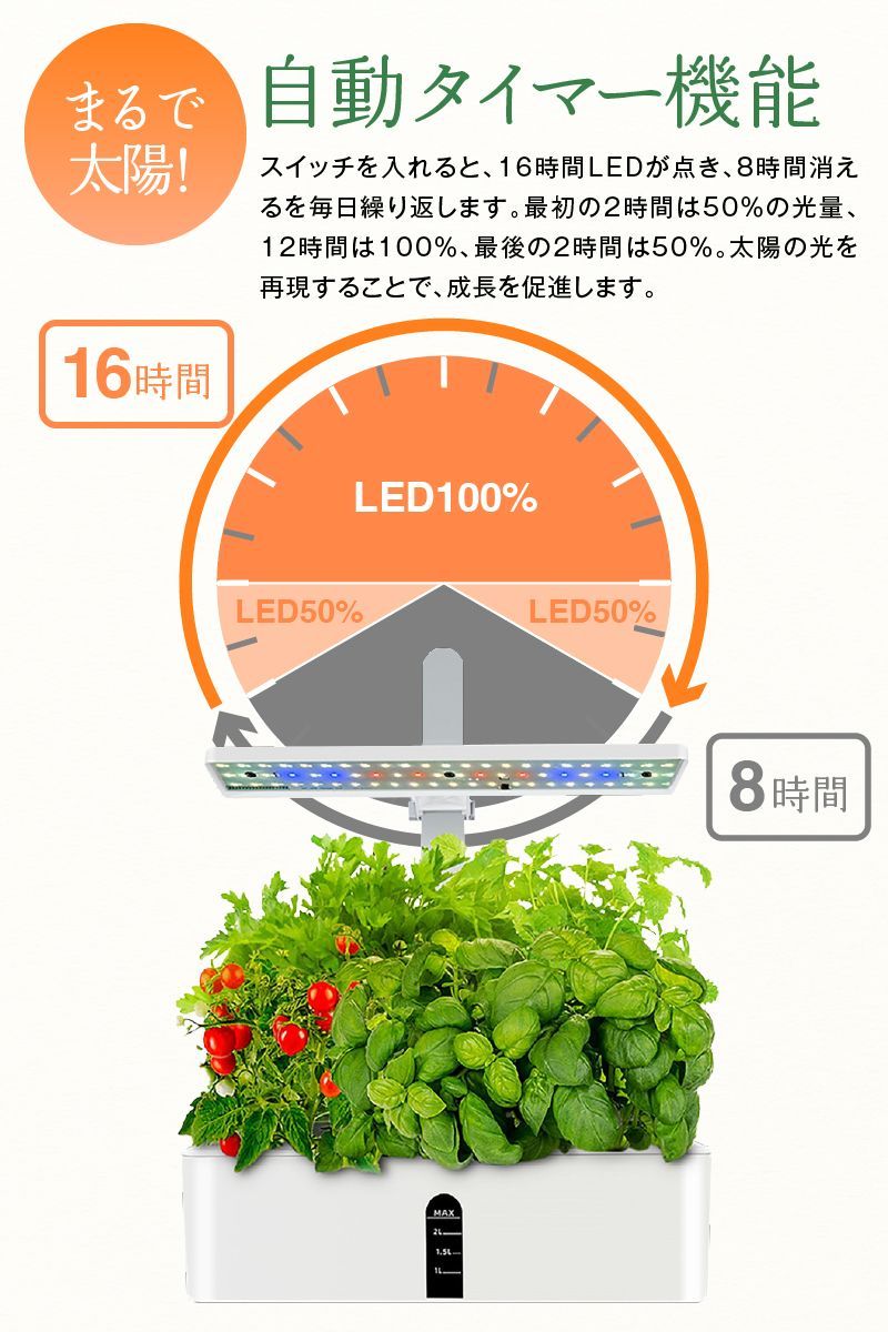 野菜栽培セット