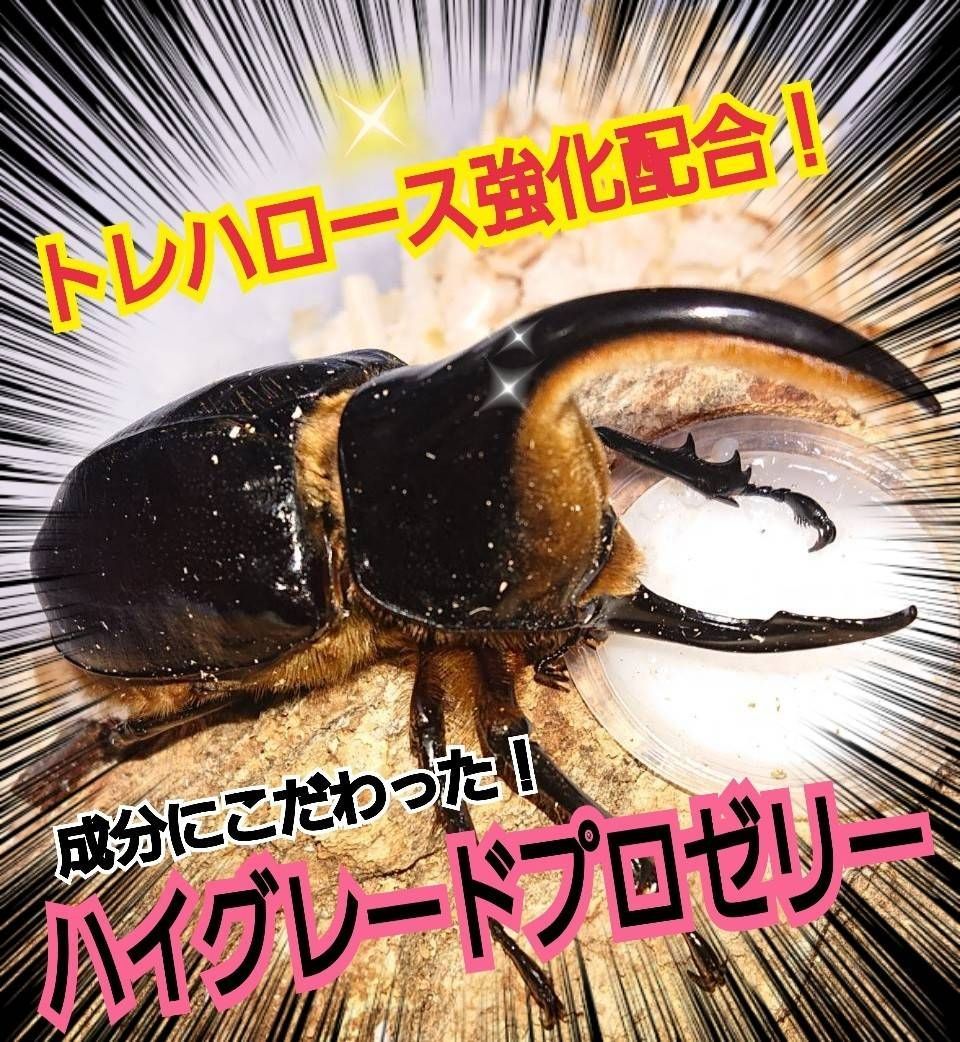 人気ブランドの 昆虫ゼリー プロゼリー80 クワガタ カブトムシ