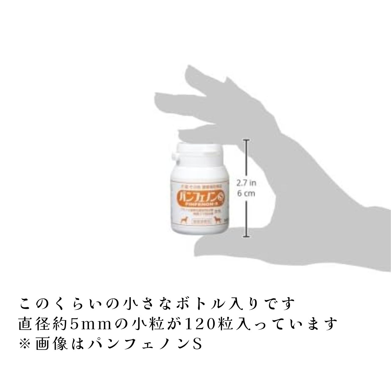 正規販売店 パンフェノン