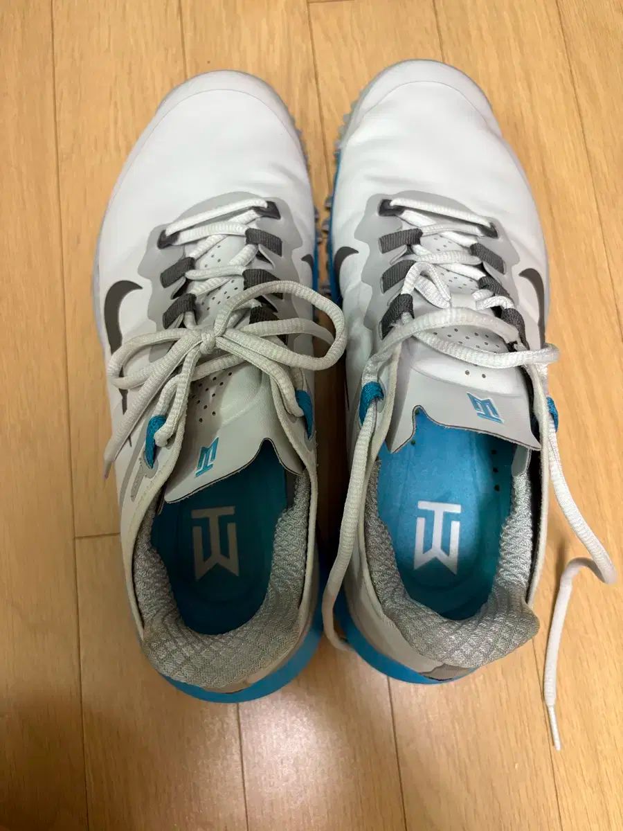 ナイキゴルフ タイガー ウッズ 13 TW13 10 記念日 スパイクゴルフシューズ ライトスモーク