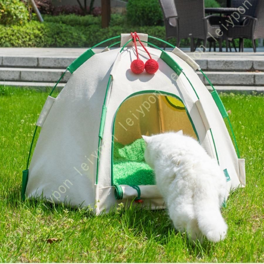 布製 小型犬