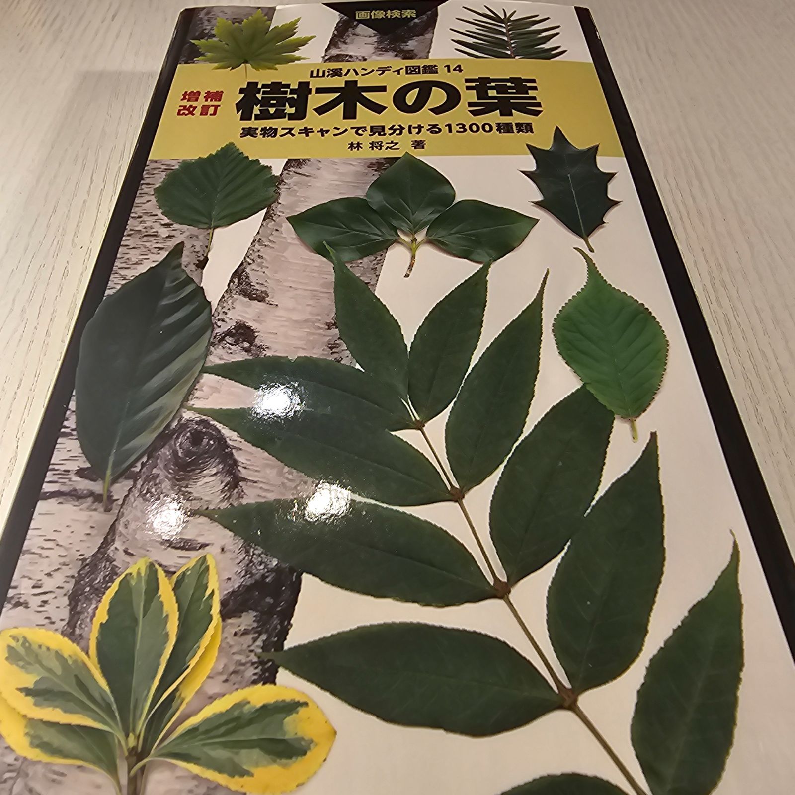 樹木の葉 実物スキャンで見分ける１１００種類 山溪ハンディ図鑑１４／林将之【著】 山溪ハンディ図鑑 樹木の葉 第3版 実物スキャンで見分ける1390種類