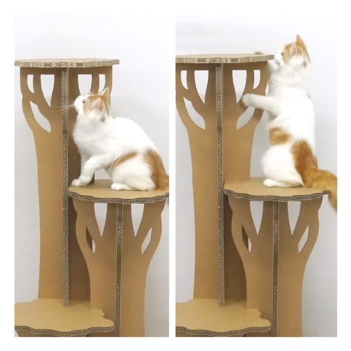 クラフト ダンボール