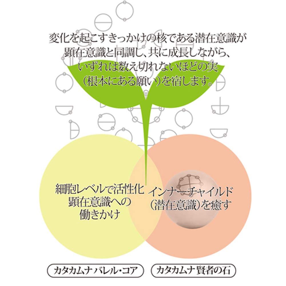 カタカムナ 賢者の石 医学博士 丸山式 丸山アレルギークリニック 院長 丸山修寛監修 ユニカ 正規品 - メルカリ