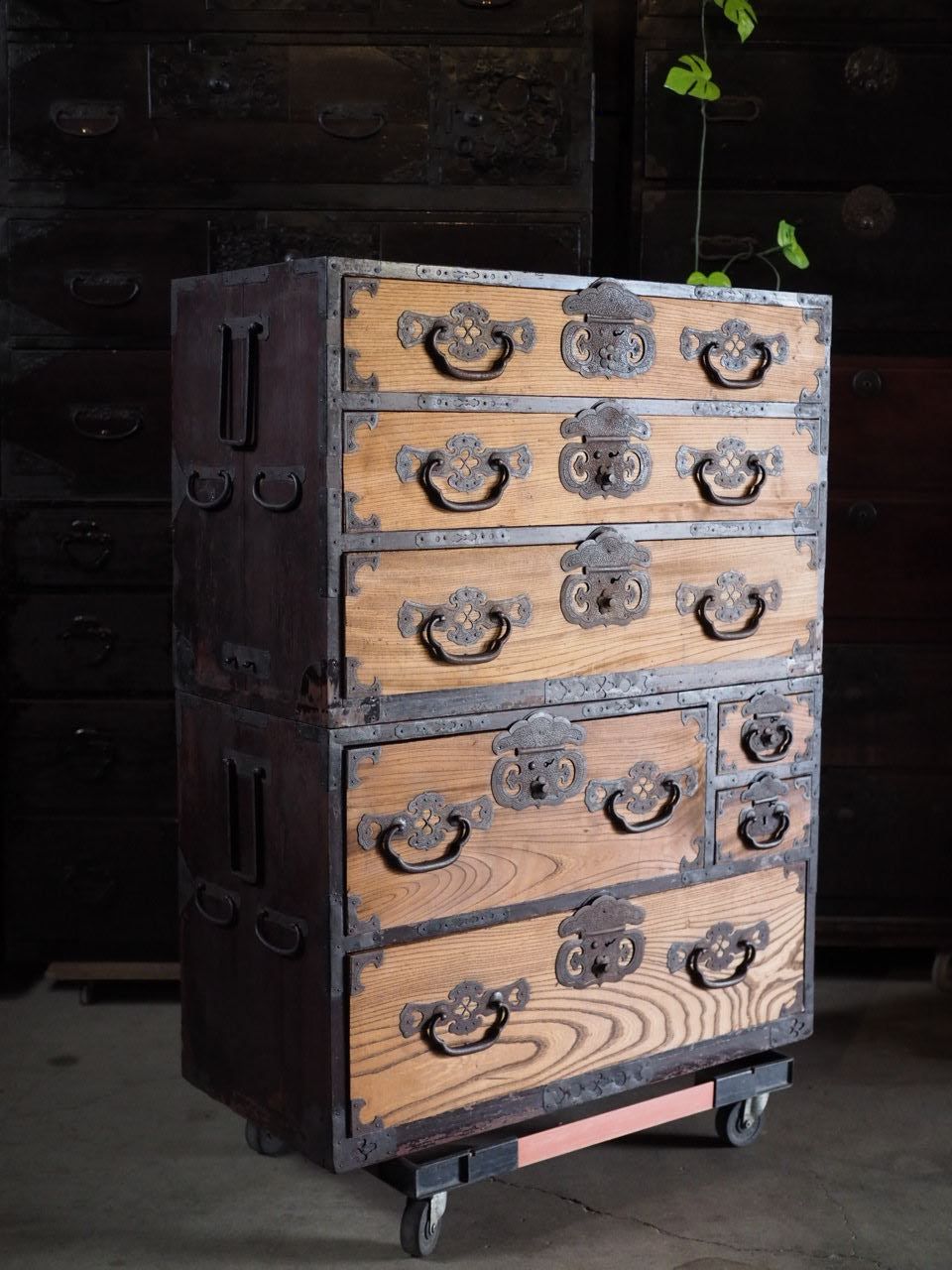 前欅信州衣裳箪笥 明治時代 アウトレット 古録展 送料無料 品番S10806