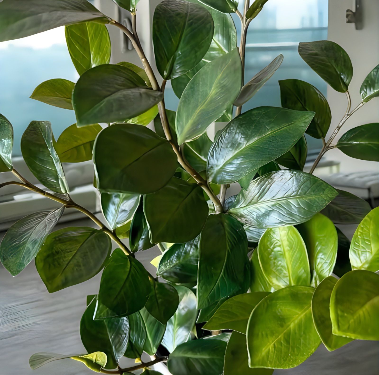 光触媒 人工観葉植物 ウォールグリーン フェイクグリーン ザミフォリア