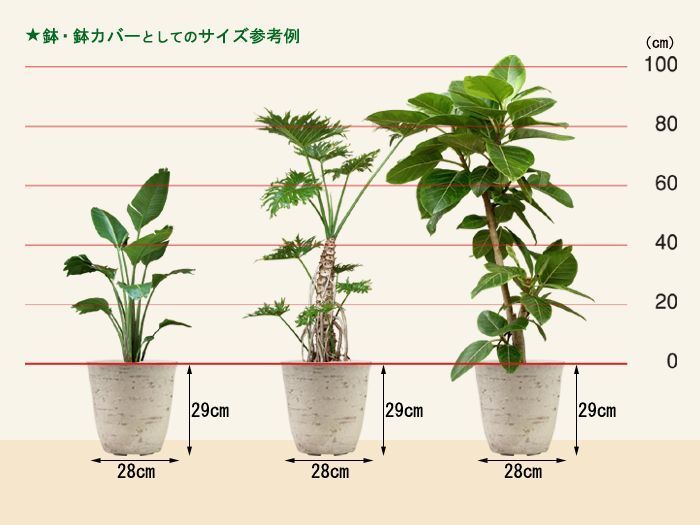 アイボリー系