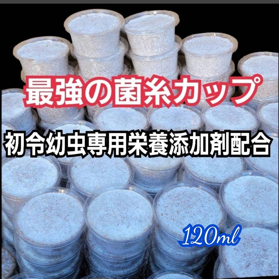 ヒマラヤひらたけ菌糸瓶【６本セット】ニジイロクワガタ、オオクワガタ、ヒラタに！ ヒマラヤひらたけ菌糸瓶【6本セット】ニジイロクワガタ