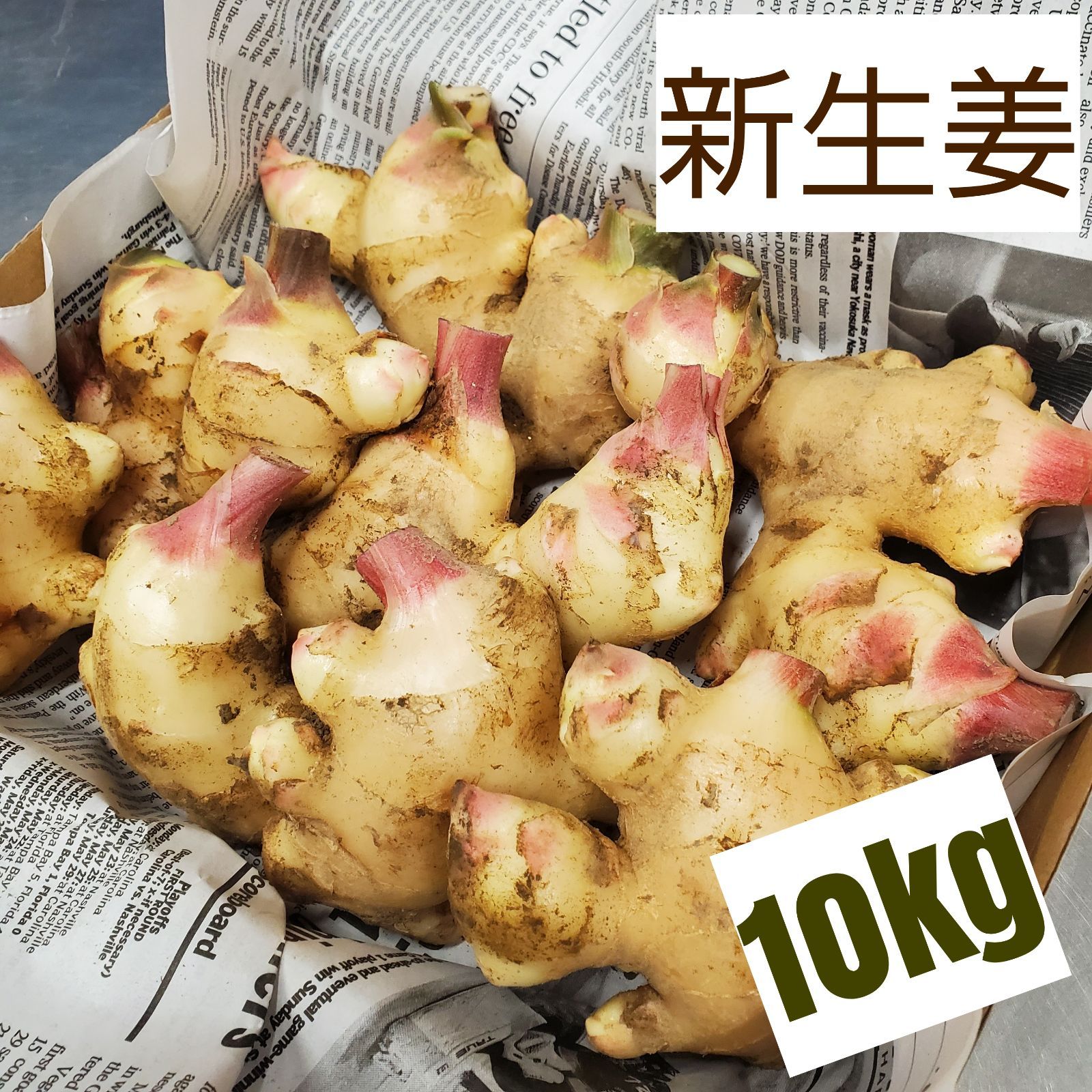 新生姜10kg - 野菜