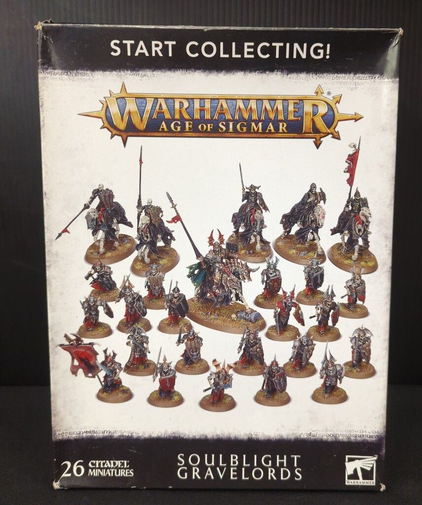 GAMESWORKSHOP WARHAMMER AGE OF SIGMAR SOULBLIGHT GRAVELORDS !! Start Collecting! Soulblight Gravelords