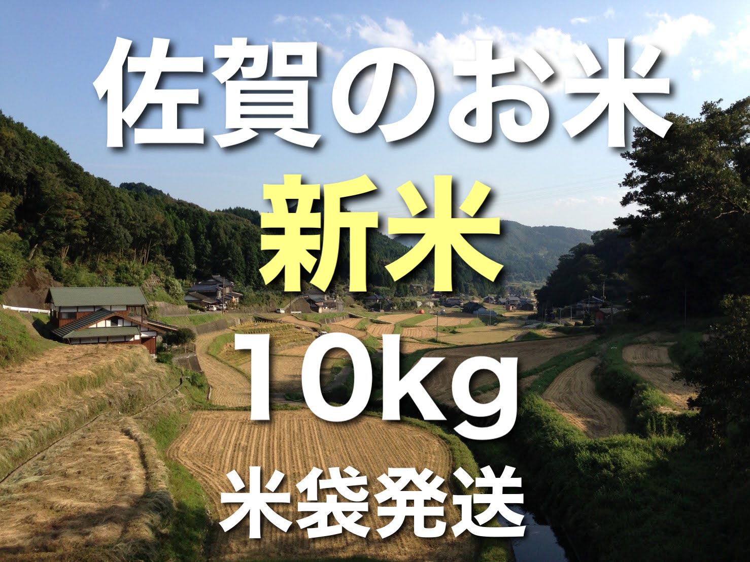 令和6年産 夢しずく お米 新米 10キロ 10kg 白米 美白米