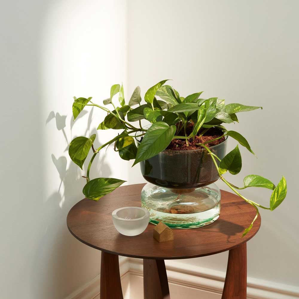 L3501-175 英国アンティーク ブリキ ドラム 鉢 ゴミ箱 ガーデニング