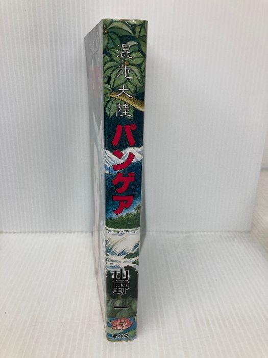 混沌大陸パンゲア 青林堂 山野 一 - メルカリ
