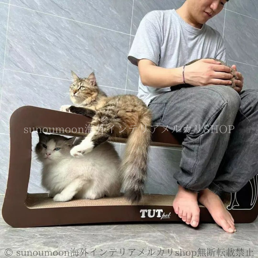 シンプル 多頭飼い