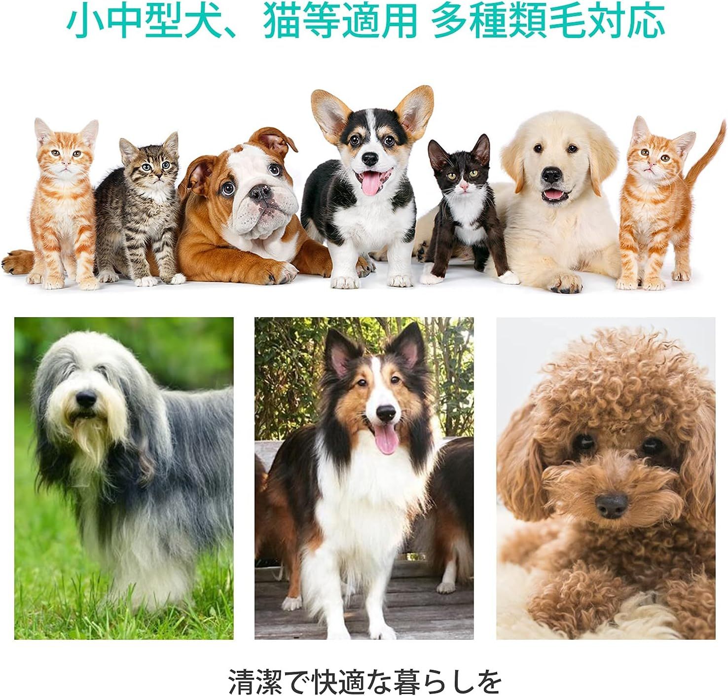 猫美容器 5