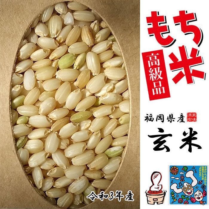 米 もち米 玄米 新米 10キロ 送料無料 ヒヨクモチ 白米 10kg 令和4年